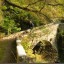 Ponte