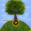 vita degli alberi